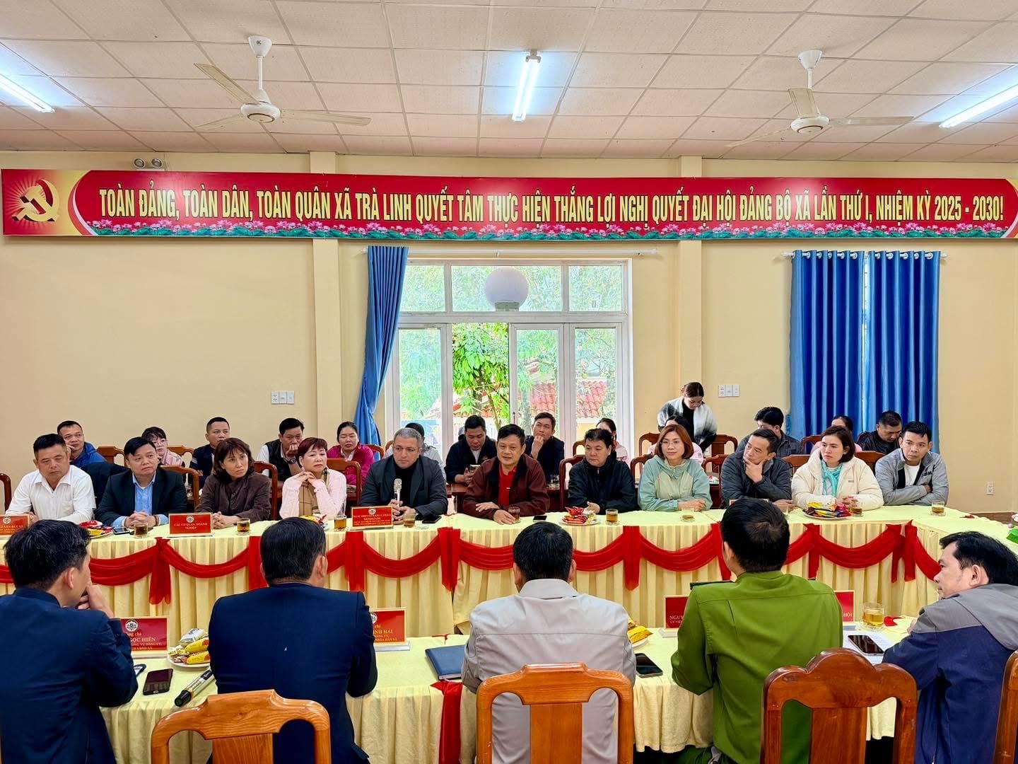 trà linh 6
