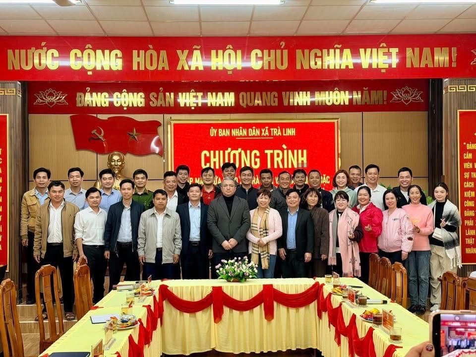 trà linh 8